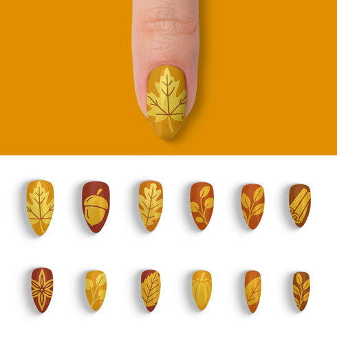 VIM_almond
