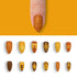 VIM_almond