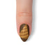 VIM_almond