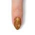 VIM_almond