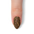 VIM_almond