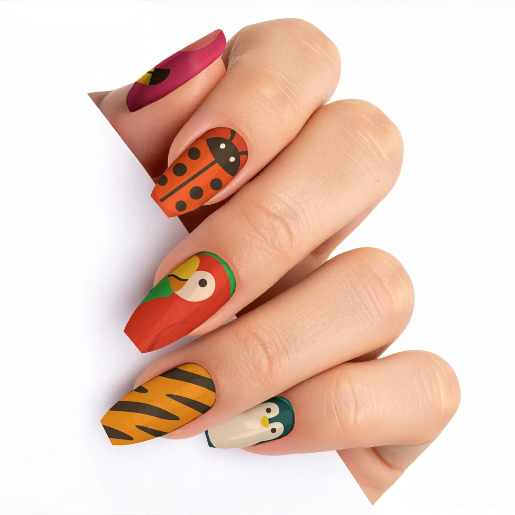 VIM_medium-ballerina