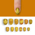 VIM_oval