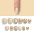 VIM_oval