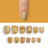 VIM_oval