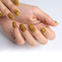 VIM_oval