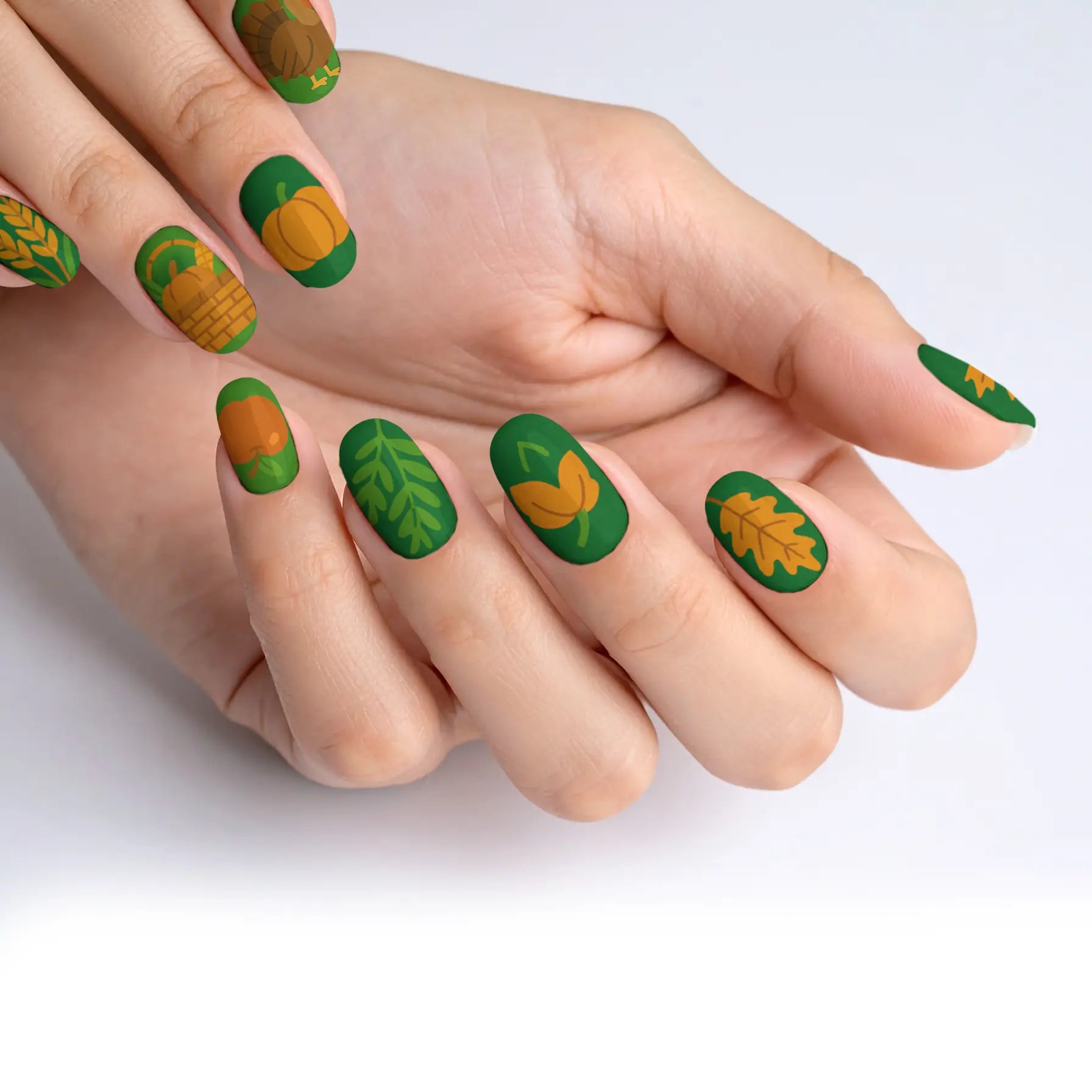 VIM_oval