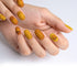 VIM_oval