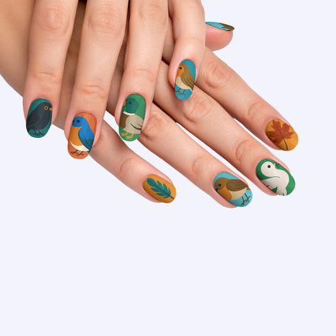 VIM_oval