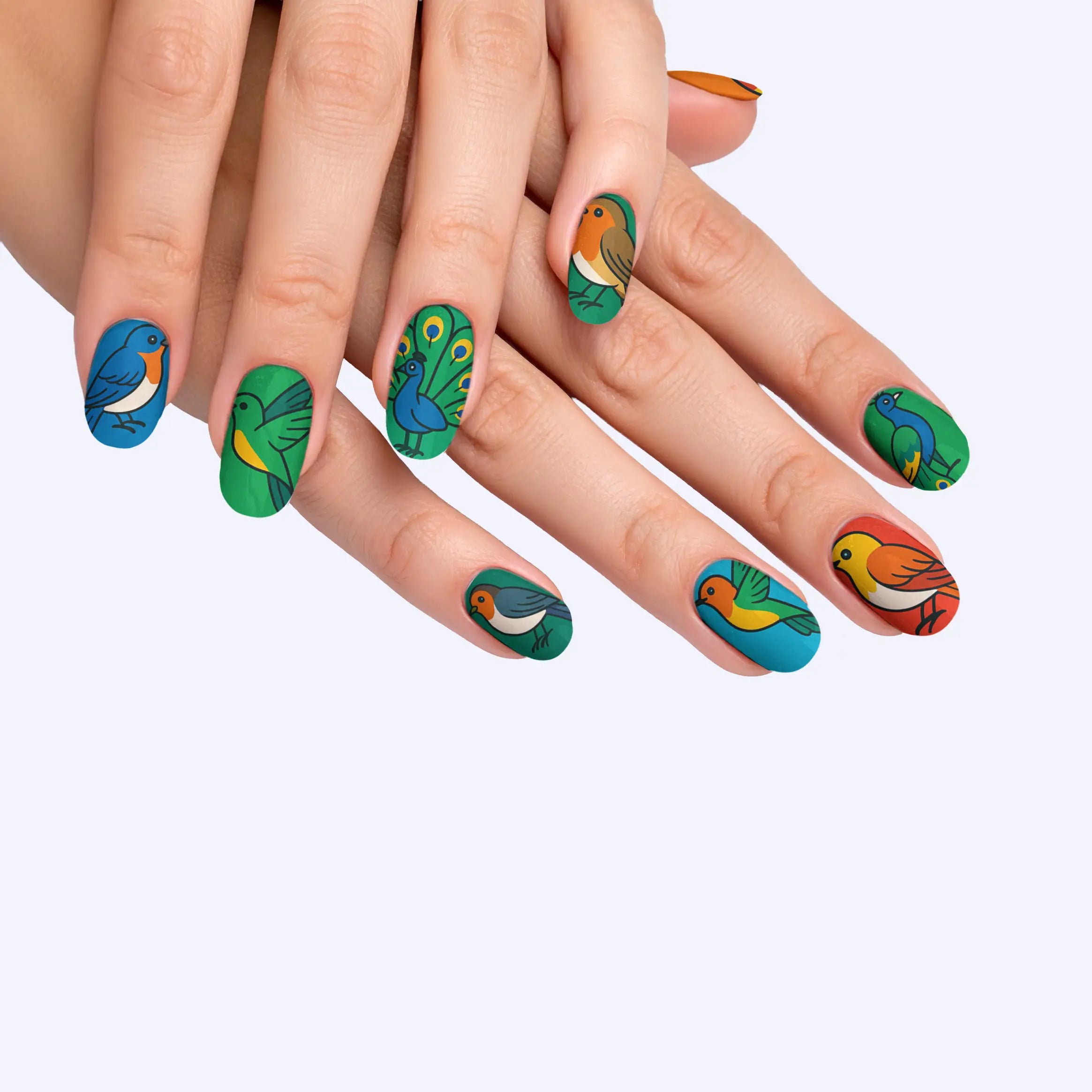 VIM_oval