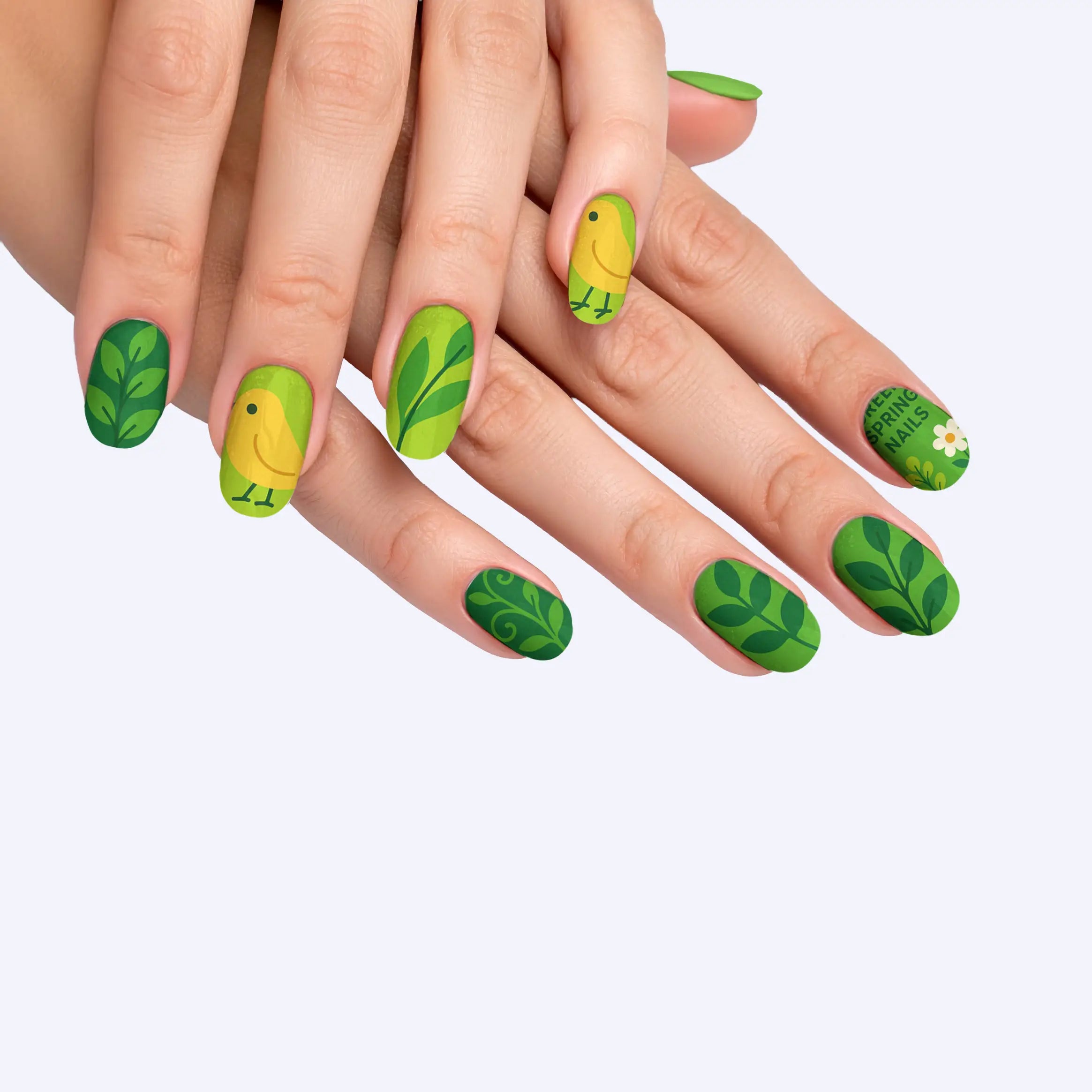 VIM_oval