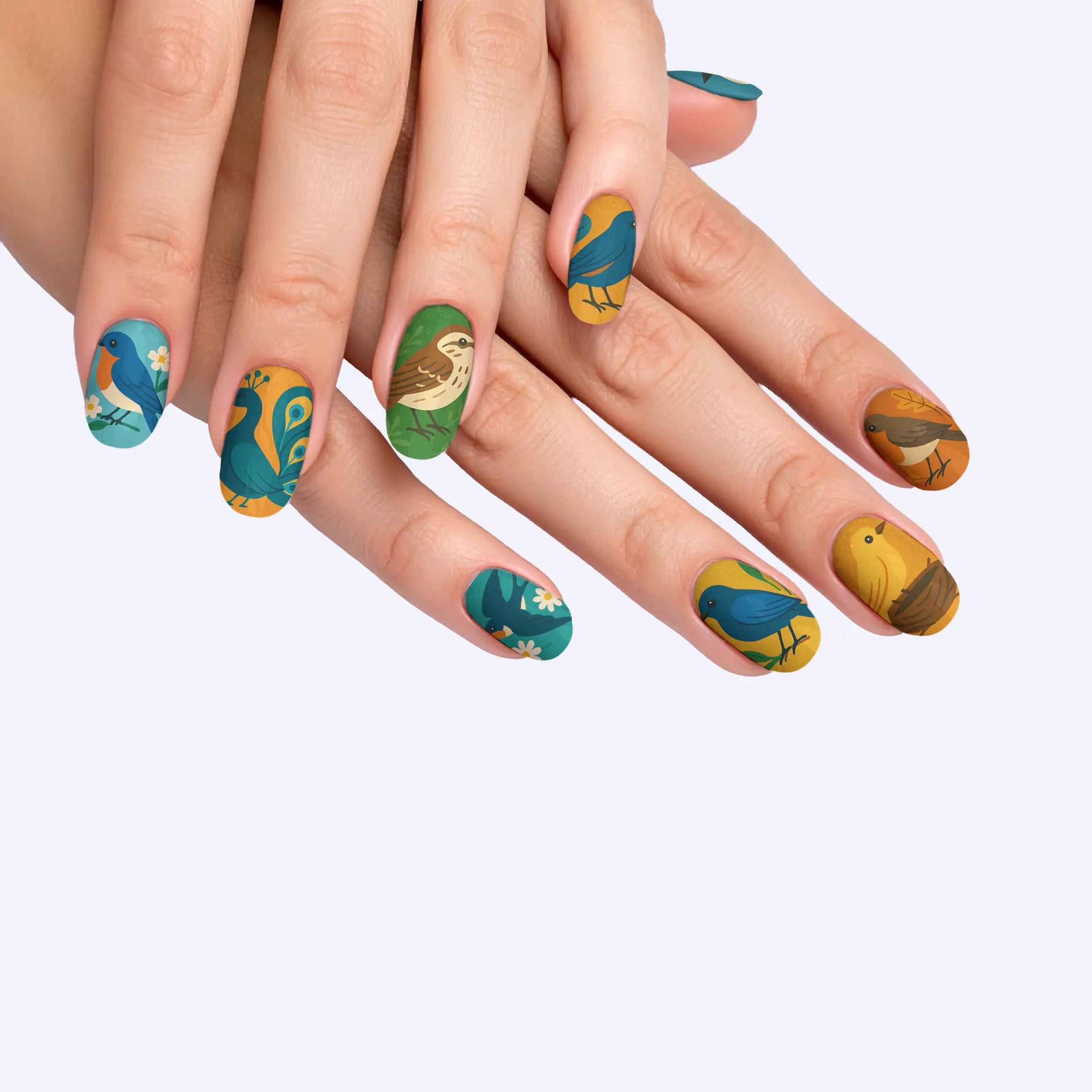 VIM_oval